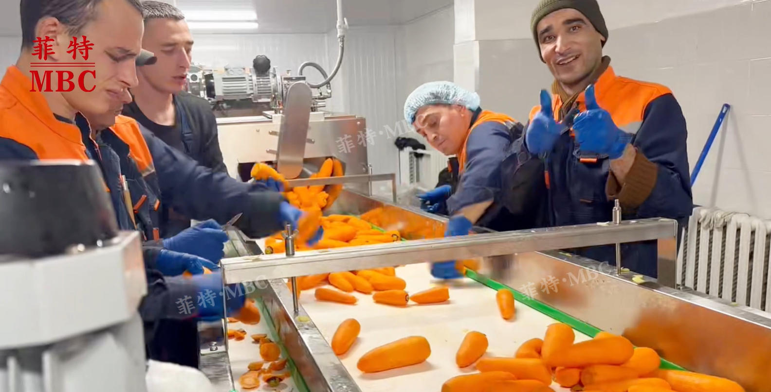 MBC • RUSSIA PRODUCTION SITE FOR POTATO CARROT BEET